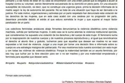 Colectivos feministas de Andalucia. Comunicado de apoyo a la madre de Oviedo: la violencia obstetrica es violencia de género institucional